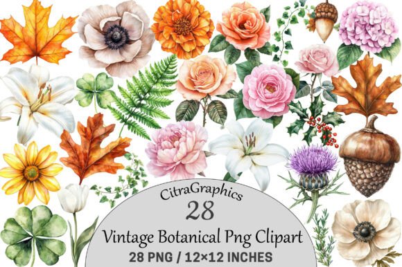 Download Vintage Botanical Clipart. - Premium Bundle