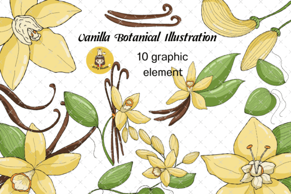 Download Set of Vanilla Flower Botanical Clip Art - Botanical clip art Collection