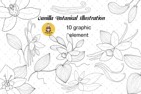 Download Set of Vanilla Flower Botanical Clip Art - Botanical clip art Collection