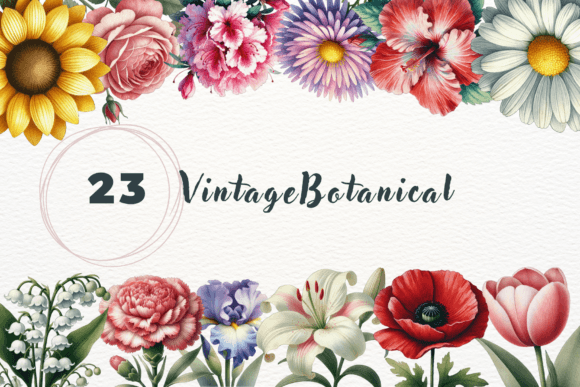 Download Vintage Botanical Clipart Set - Premium Resources