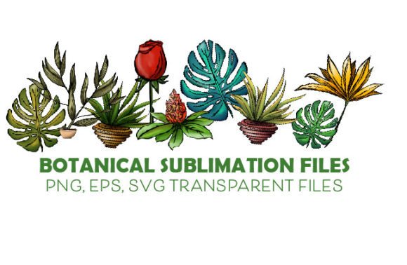 Download Botanical Clip Art Transparent PNG - Botanical clip art Collection